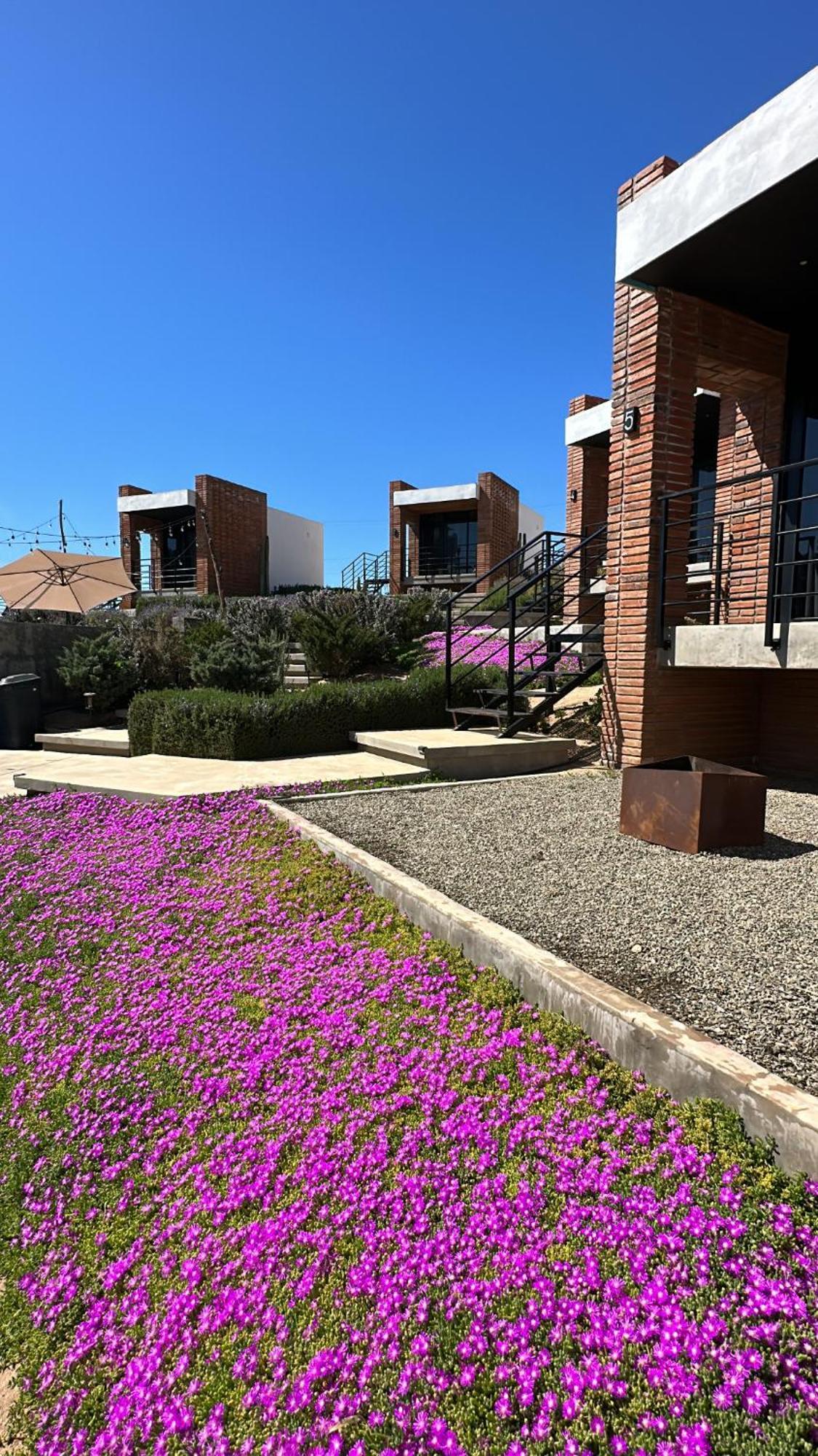 Hotel Otero Valle De Guadalupe Εξωτερικό φωτογραφία